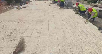 湖南黄金麻荔枝面地铺案例