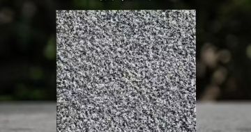 湖南 芝麻黑荔枝面