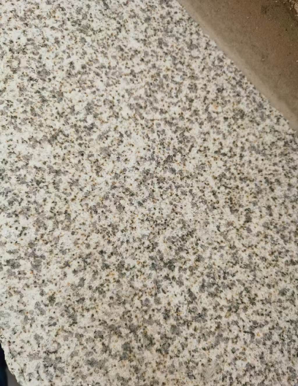 湖南 黄金麻中黄光面