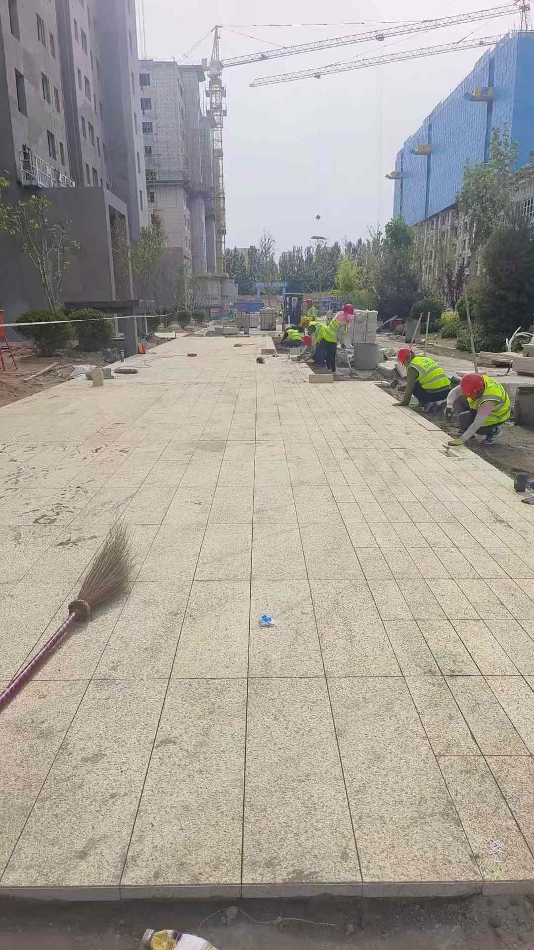 湖南黄金麻荔枝面地铺案例