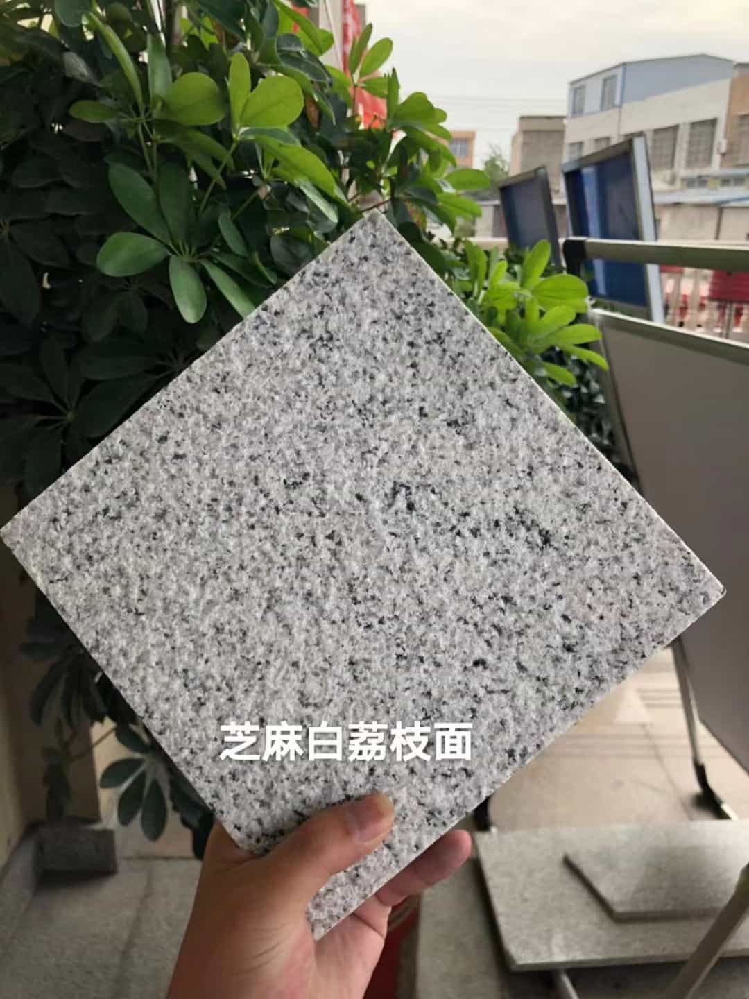 湖南 芝麻白荔枝面干挂